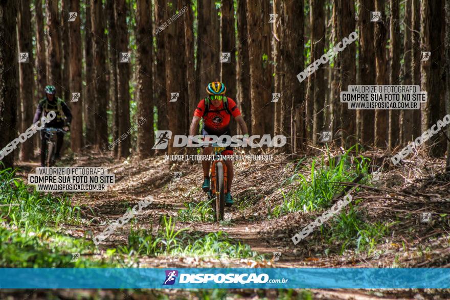 3° Desafio 100km de Terra