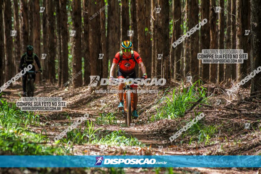 3° Desafio 100km de Terra