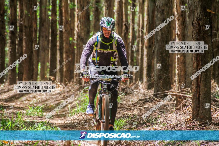 3° Desafio 100km de Terra