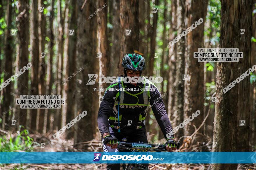 3° Desafio 100km de Terra