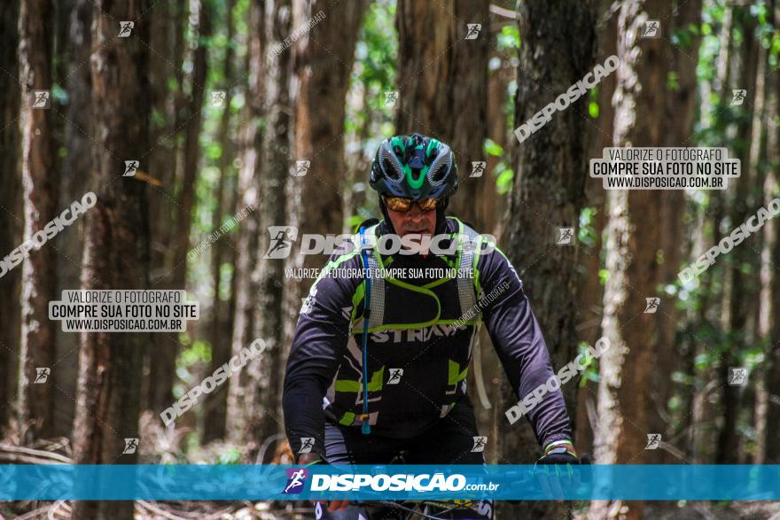 3° Desafio 100km de Terra