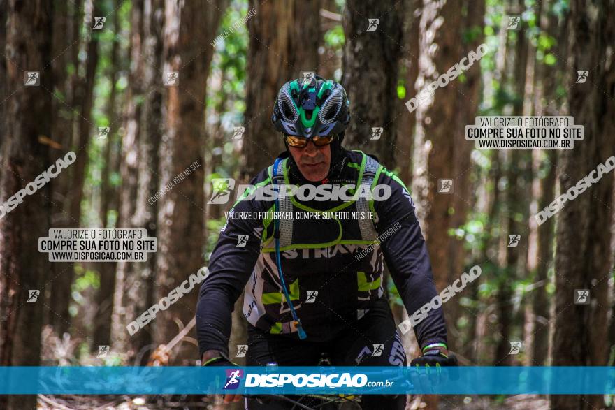 3° Desafio 100km de Terra