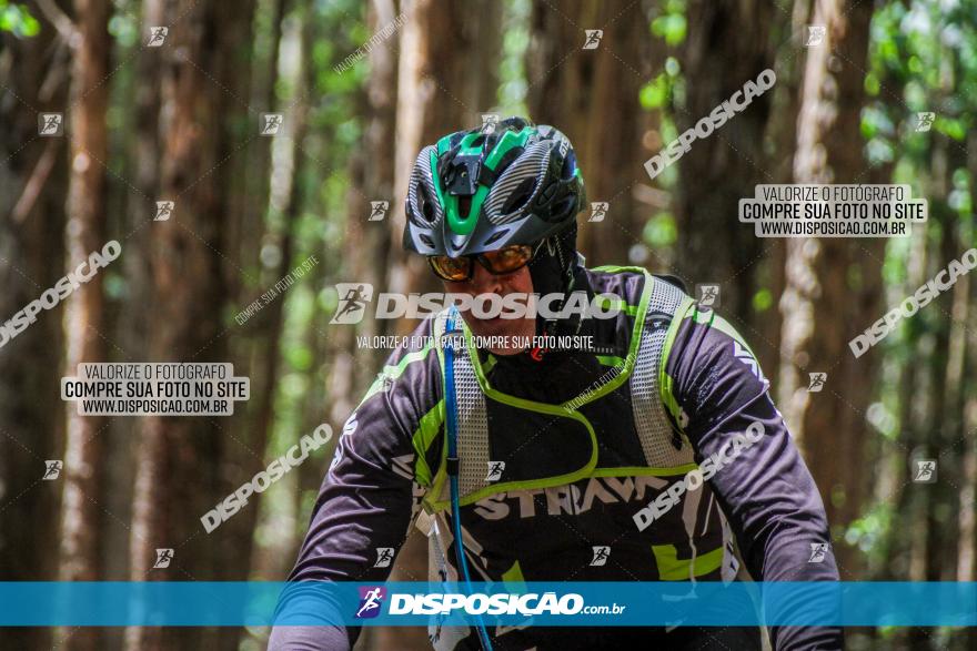 3° Desafio 100km de Terra