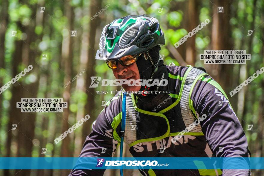 3° Desafio 100km de Terra