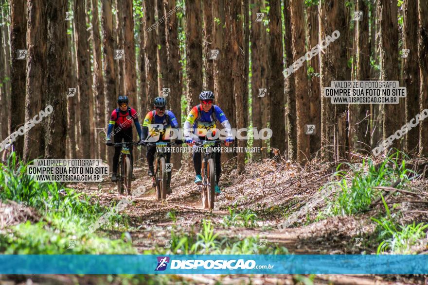 3° Desafio 100km de Terra