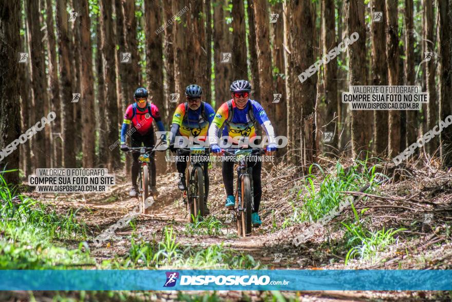 3° Desafio 100km de Terra