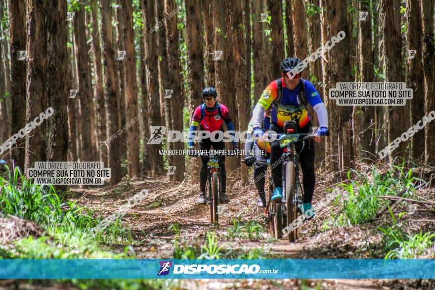 3° Desafio 100km de Terra