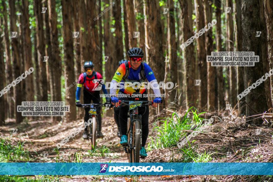 3° Desafio 100km de Terra