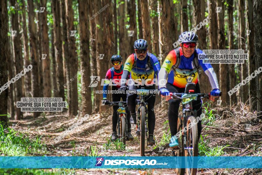 3° Desafio 100km de Terra