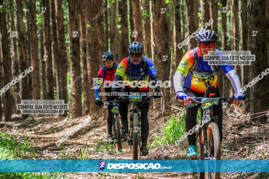 3° Desafio 100km de Terra