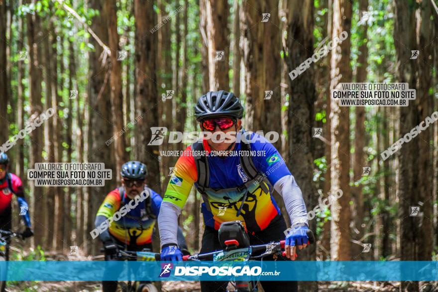 3° Desafio 100km de Terra