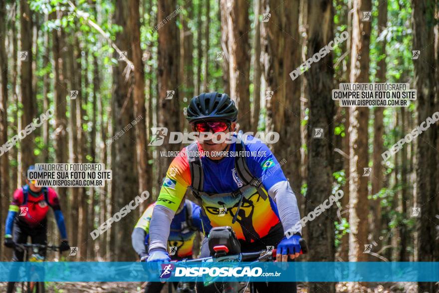 3° Desafio 100km de Terra