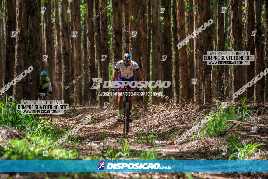 3° Desafio 100km de Terra