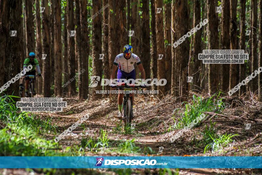 3° Desafio 100km de Terra