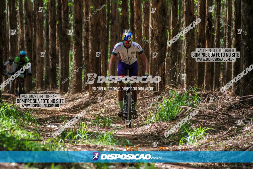 3° Desafio 100km de Terra