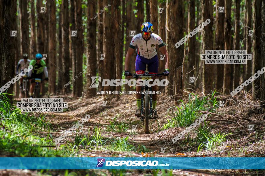 3° Desafio 100km de Terra