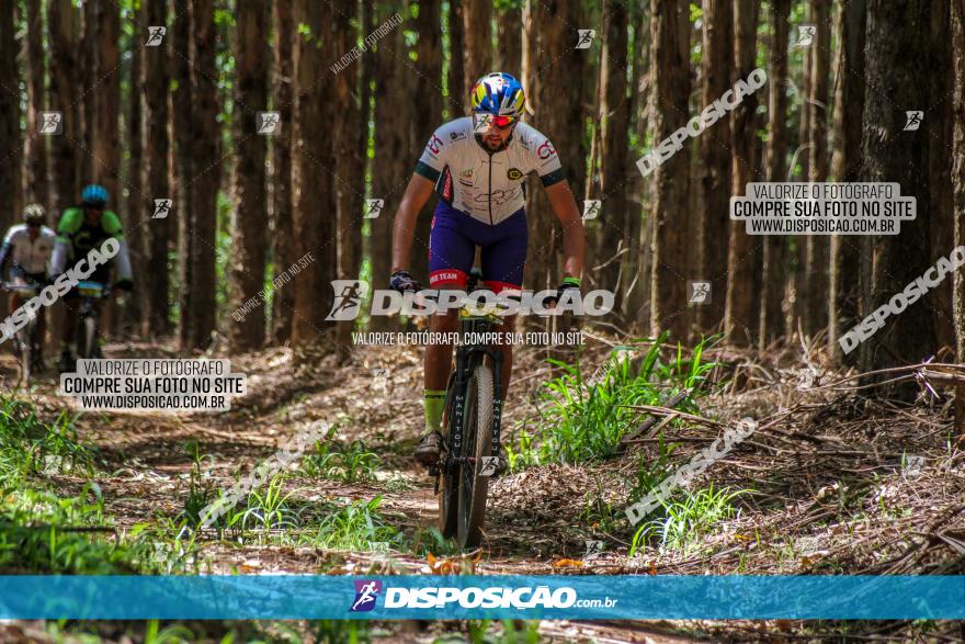 3° Desafio 100km de Terra