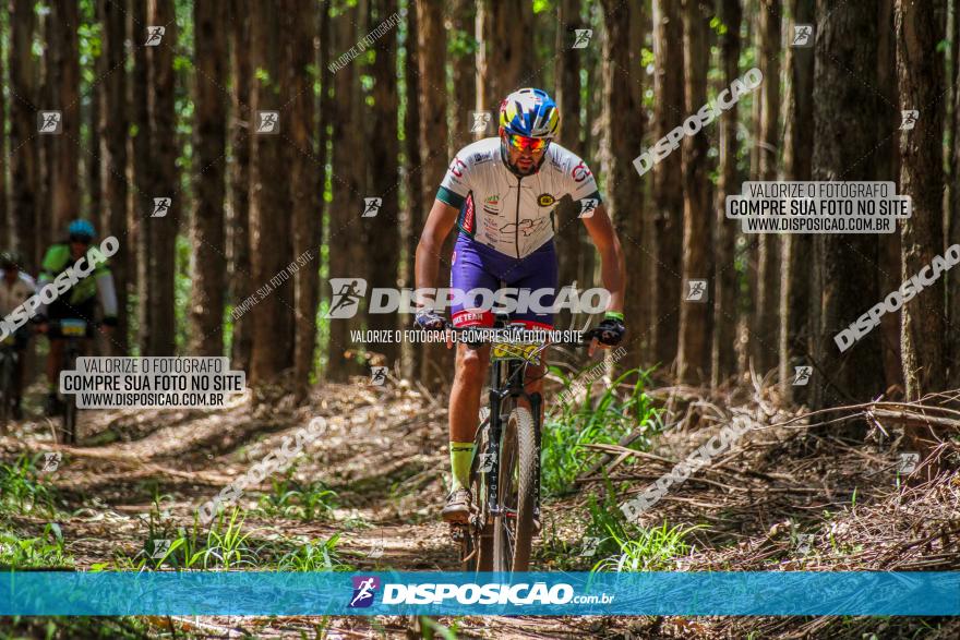 3° Desafio 100km de Terra