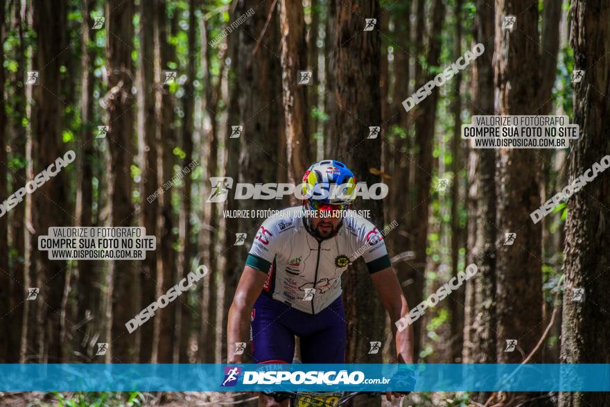 3° Desafio 100km de Terra