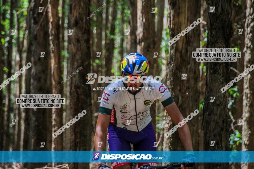 3° Desafio 100km de Terra