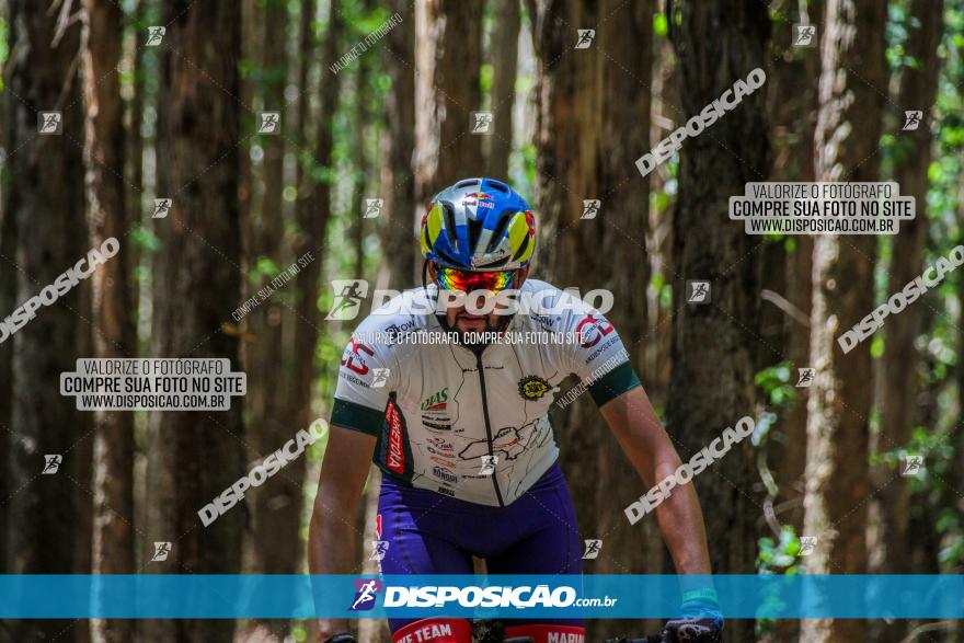 3° Desafio 100km de Terra