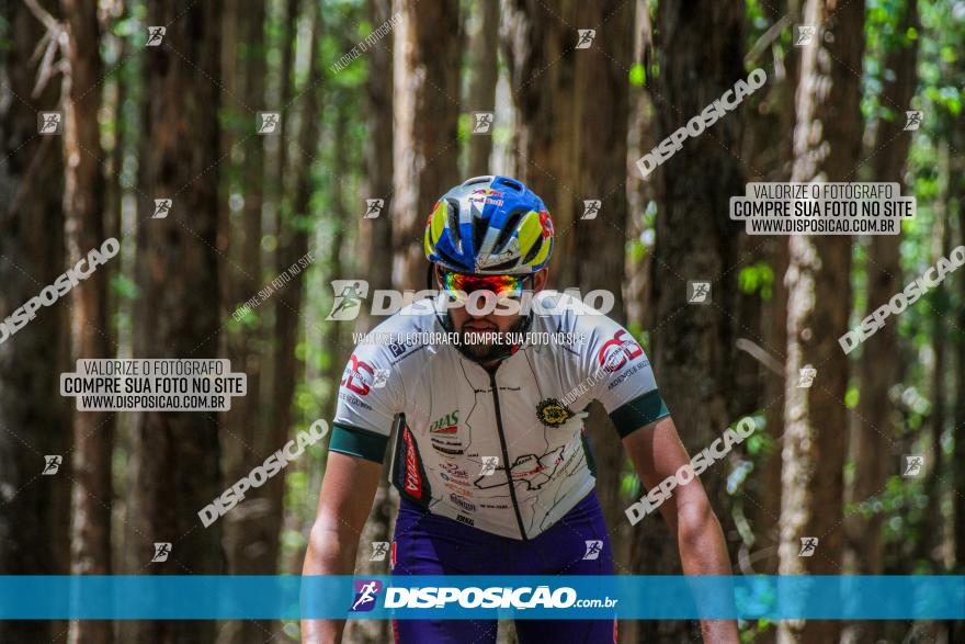 3° Desafio 100km de Terra