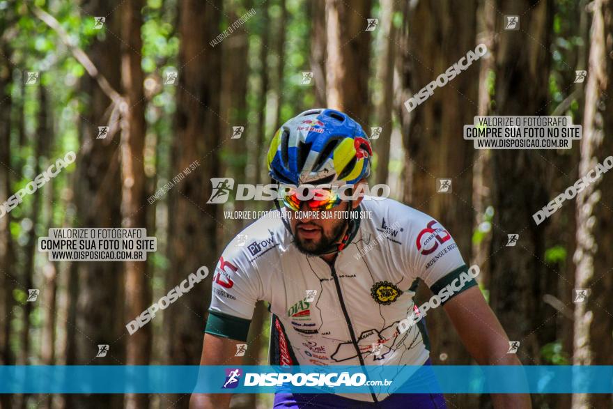 3° Desafio 100km de Terra