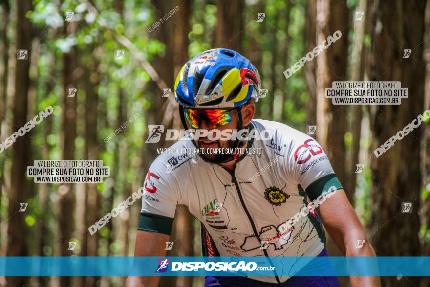 3° Desafio 100km de Terra