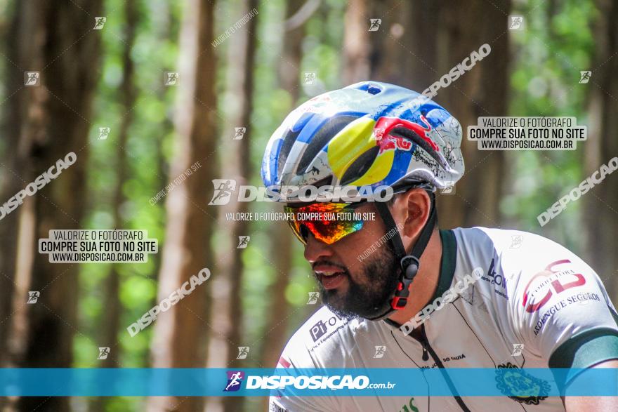 3° Desafio 100km de Terra