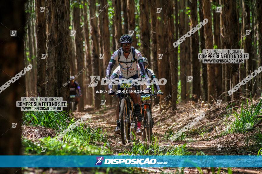 3° Desafio 100km de Terra