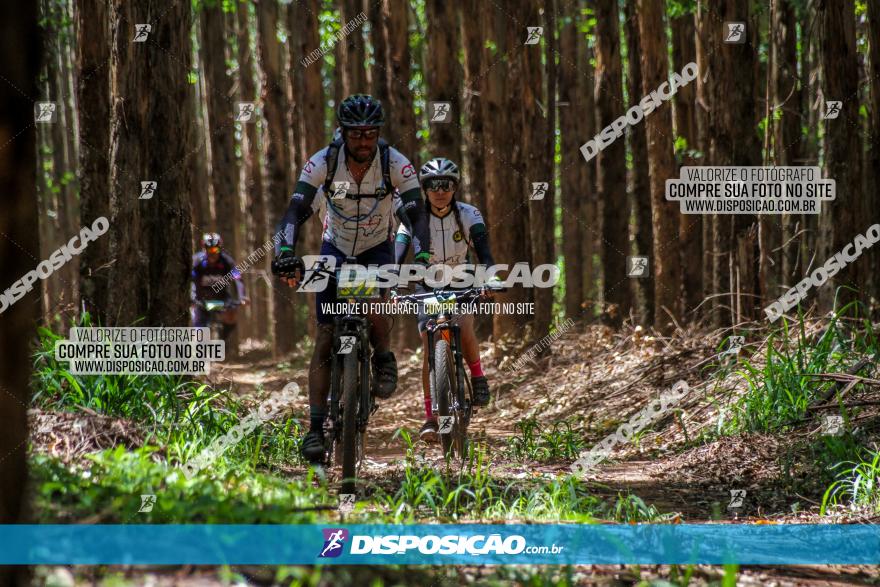 3° Desafio 100km de Terra