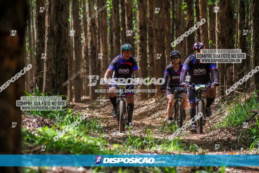 3° Desafio 100km de Terra