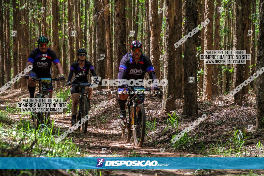 3° Desafio 100km de Terra