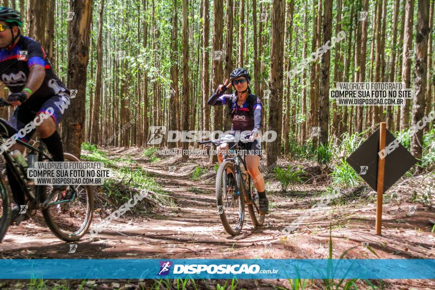 3° Desafio 100km de Terra