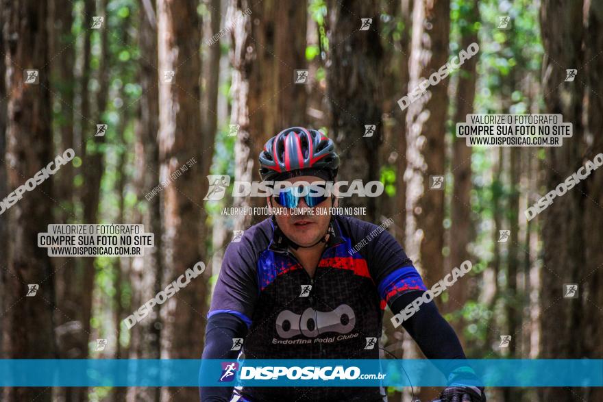 3° Desafio 100km de Terra