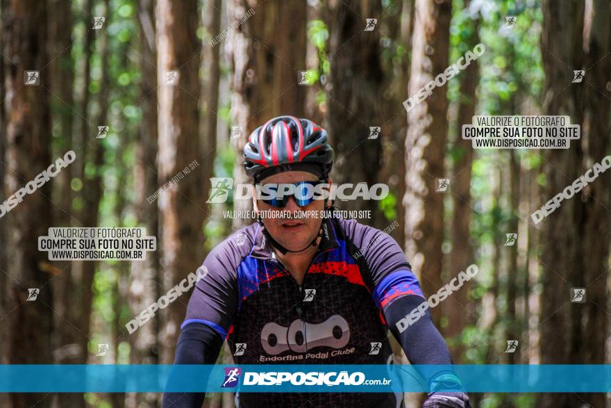 3° Desafio 100km de Terra