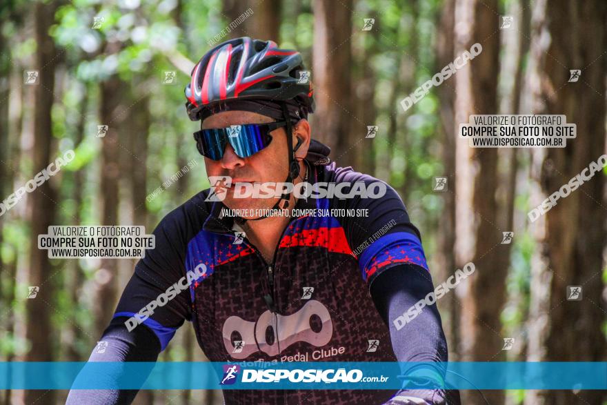 3° Desafio 100km de Terra