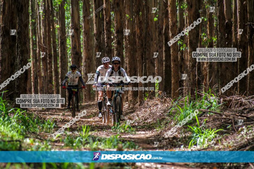 3° Desafio 100km de Terra