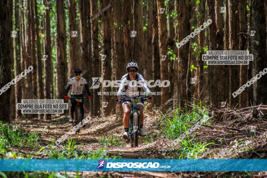 3° Desafio 100km de Terra