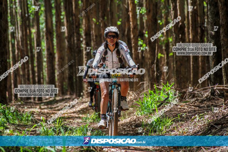 3° Desafio 100km de Terra