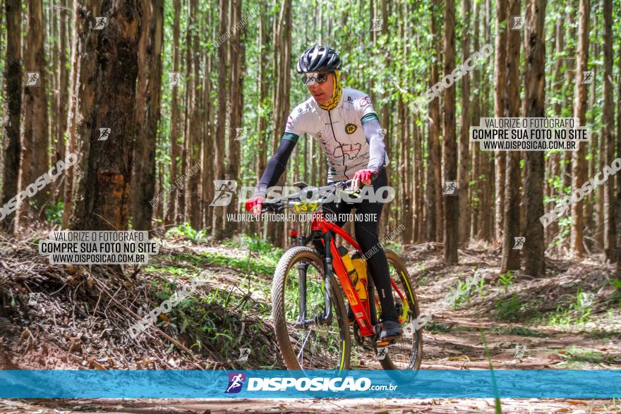 3° Desafio 100km de Terra