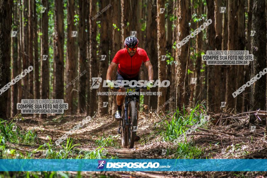 3° Desafio 100km de Terra