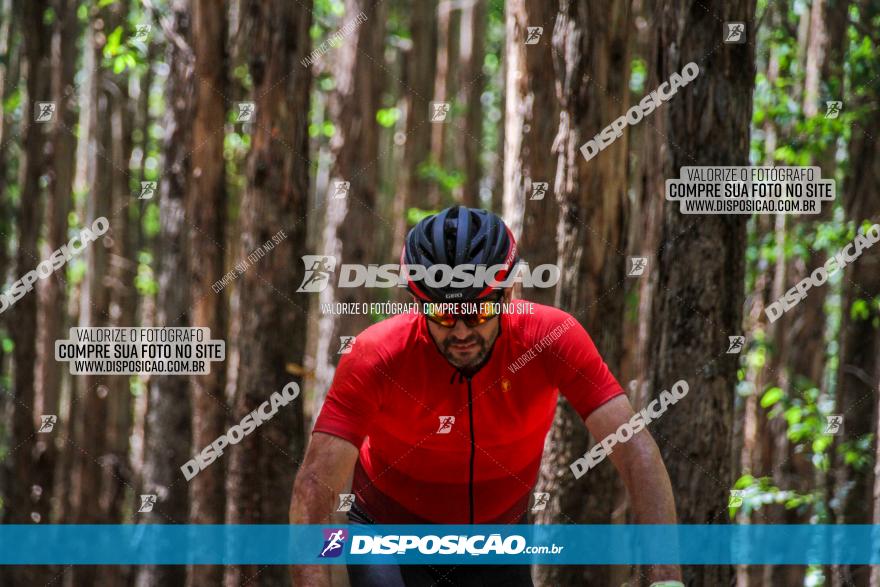 3° Desafio 100km de Terra