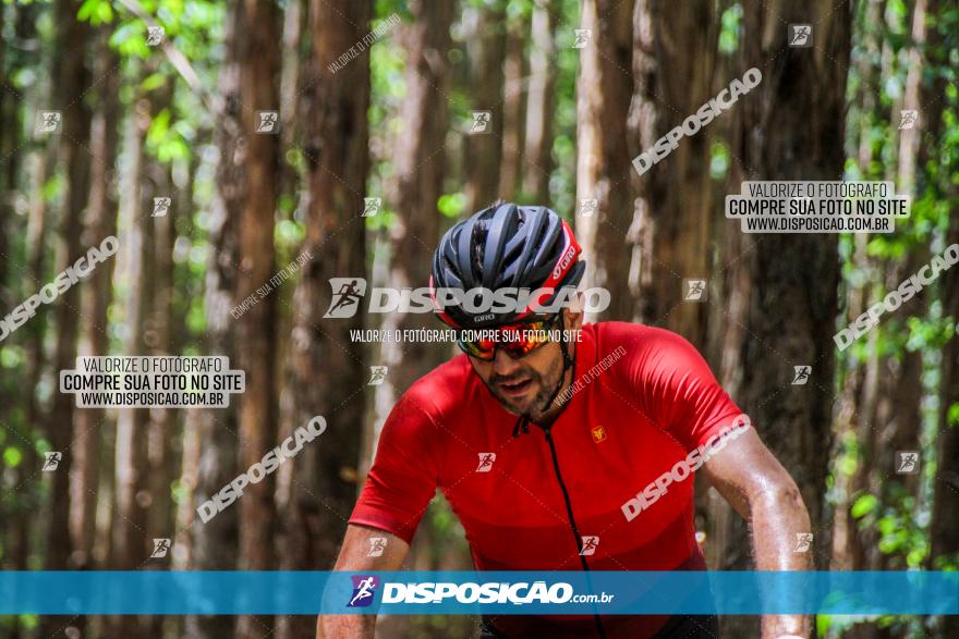 3° Desafio 100km de Terra