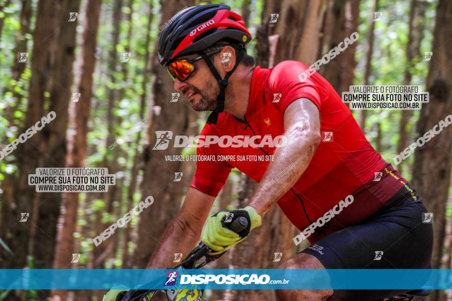 3° Desafio 100km de Terra