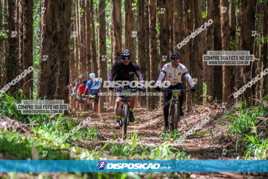 3° Desafio 100km de Terra