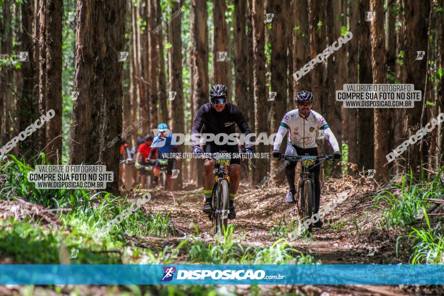 3° Desafio 100km de Terra