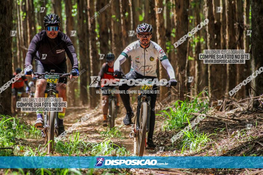 3° Desafio 100km de Terra