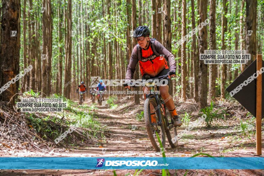 3° Desafio 100km de Terra