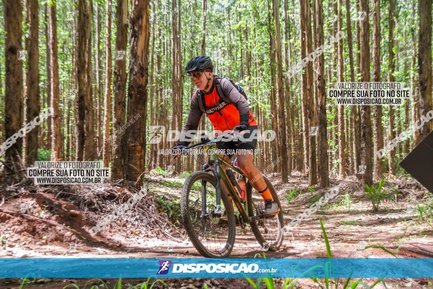 3° Desafio 100km de Terra